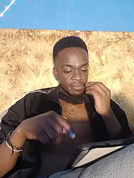 69_SINNS webcam