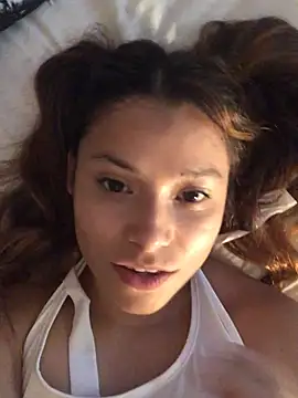 3littles webcam