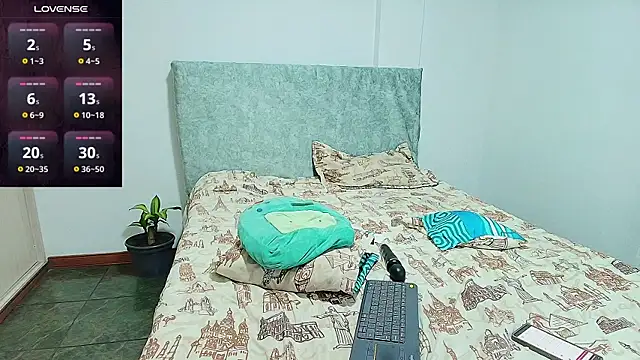 Samyq8 webcam