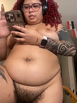 6nalanie webcam