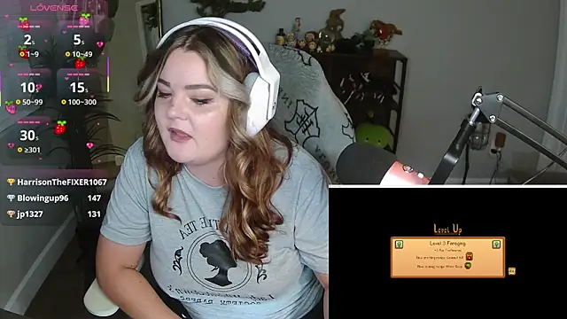 Briieverly webcam