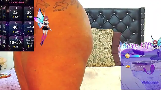 AnySugar webcam