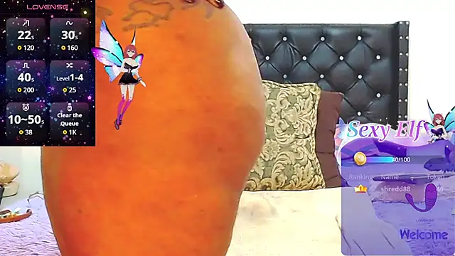 AnySugar webcam