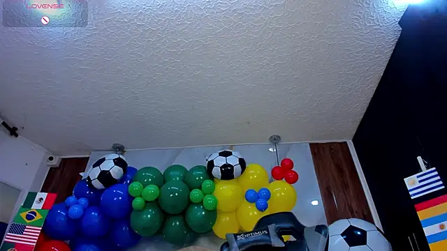mia_18v webcam