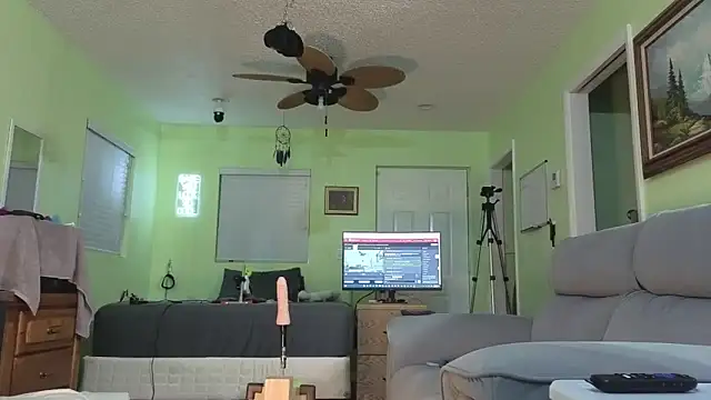 Prepare2Twerk webcam