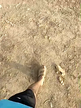 Forest_lover24 webcam