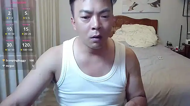 nanshe9488 webcam