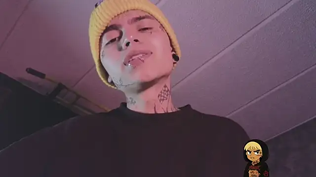 AcidMilo webcam