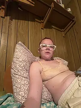 hoeznshi webcam