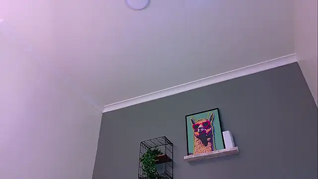 MrFox__ webcam