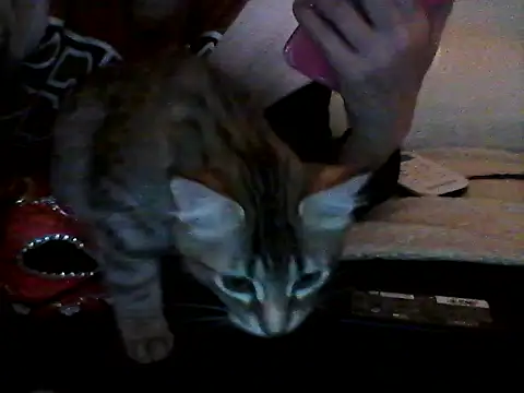 unica2412 webcam