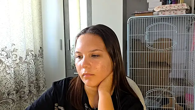 AtticNobel webcam