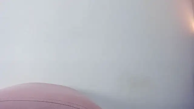 Bruno_fox webcam