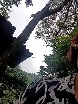 callistra webcam