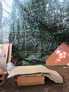 Pussy-xx webcam