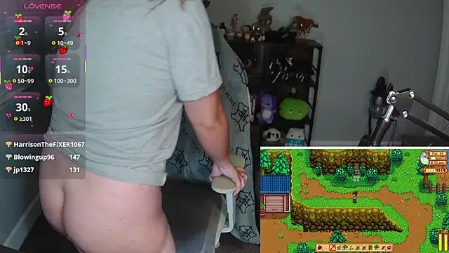 Briieverly webcam