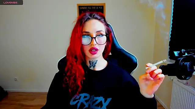 your_tora webcam