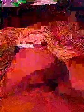 AHMED0233 webcam