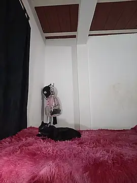 jaramilloali webcam