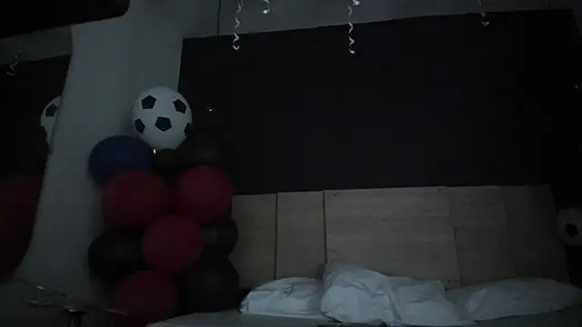 _sussan_miller webcam