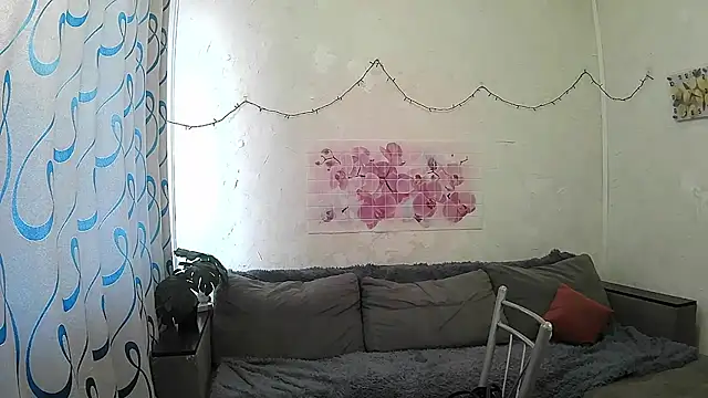ValleriWind webcam