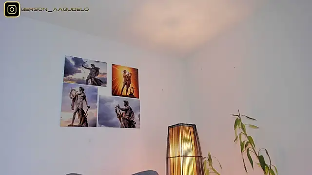 Gersonzt webcam