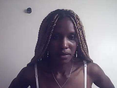 DelteAfriq webcam