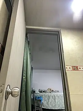 LizStorm_ webcam