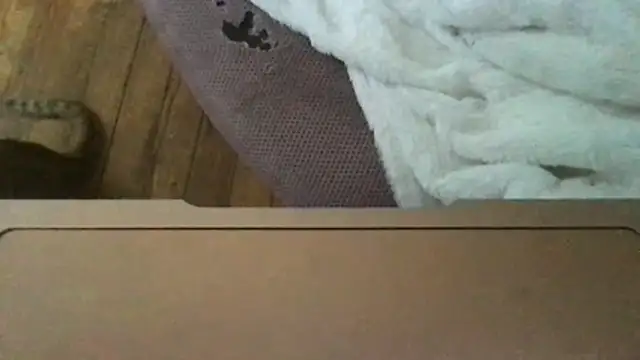 Monarchmistress webcam