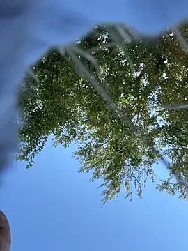 MiraReach webcam