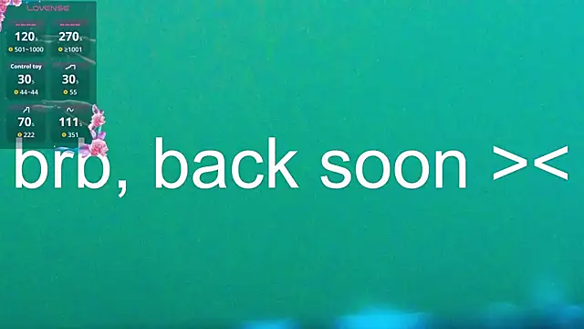 SandraWarren webcam