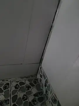 Thosew-venu webcam