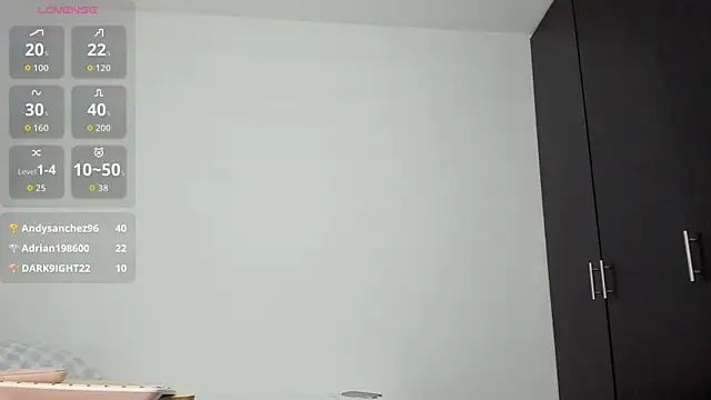 WowAna webcam