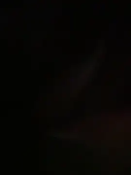 elliepixie webcam