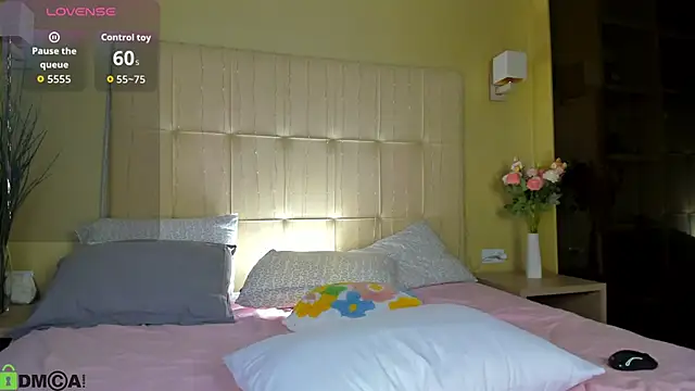 Sowetly webcam