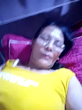 toyo_668 webcam