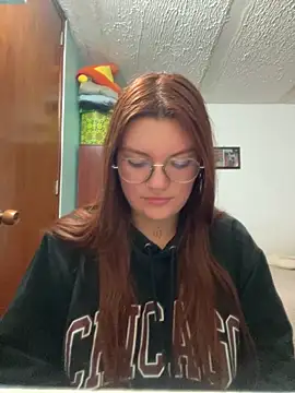 Vixroy7 webcam