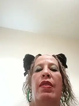 Gatitamiau40 webcam