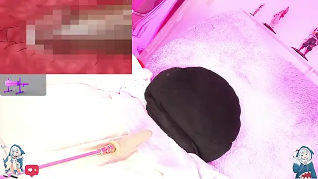 Noha-- webcam