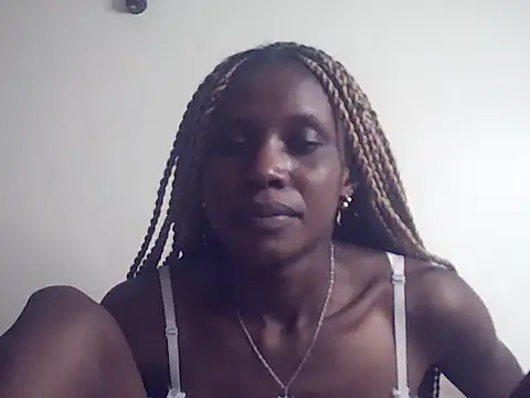 DelteAfriq webcam