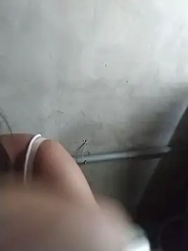 Sea-ice webcam