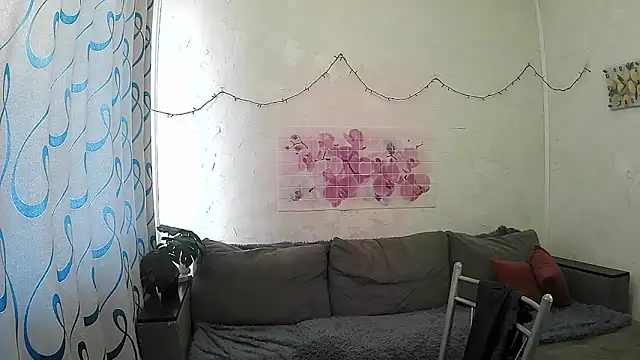 ValleriWind webcam