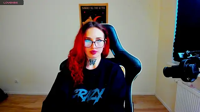 your_tora webcam