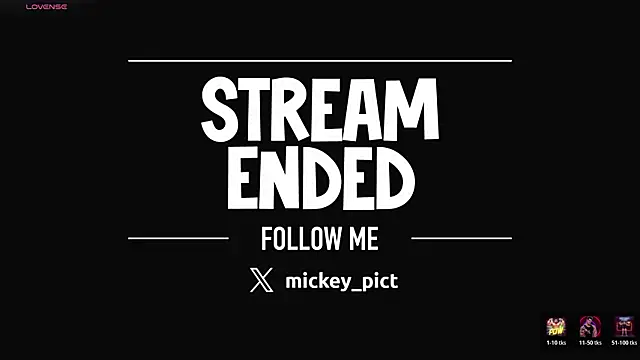 mickeypict webcam