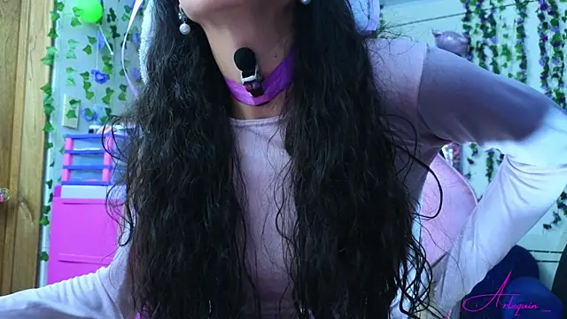 _Arlequin_ webcam