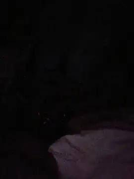 Mrluckstick webcam