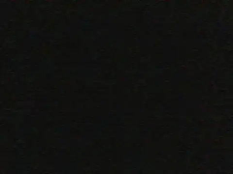 shugabaibe webcam