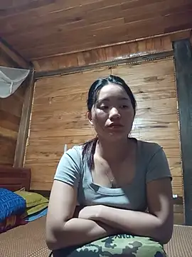 Td3di webcam
