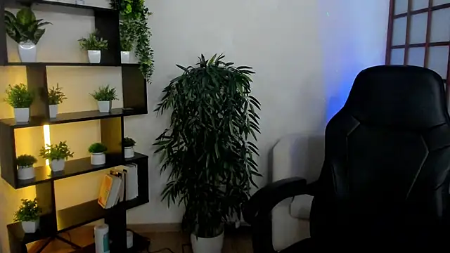 Ida_FaneStain webcam