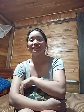 Td3di webcam